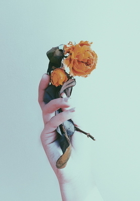 关于历史的文案句子温柔 关于写历史的优美句子