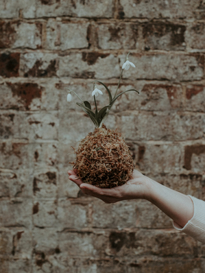 给女朋友发的早安情话文案 有哪些暖心早安情话文案给女朋友？