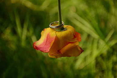 qq公布对象的说说文案 关于公布对象的说说文案