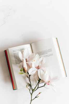 早安暖心话短句简单 早安暖心简短一句话