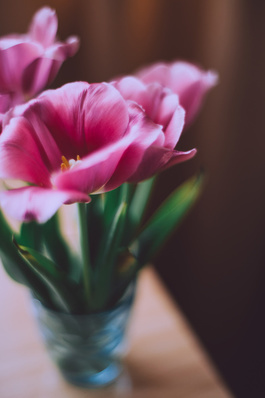 单身的说说文案搞笑 女生单身的搞笑说说文案