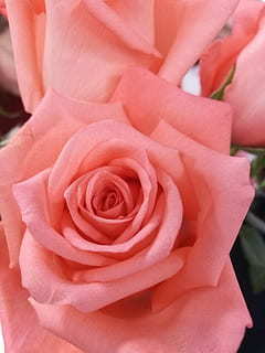 适合朋友圈的思念母亲的诗句文案 思念母亲的经典诗句文案