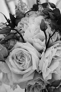 2023早安正能量暖心句子文案 2023年早安暖心话简短