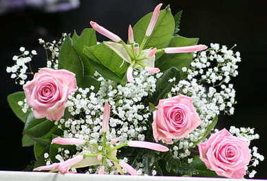 经典单身霸气语录 形容自己单身的霸气句子文案有哪些？