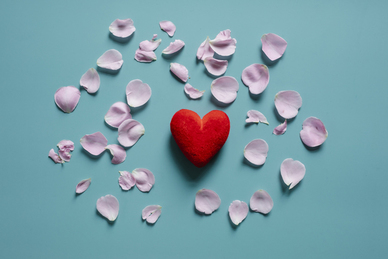 恋恋笔记本情节简介 恋恋笔记本的主要剧情有哪些?