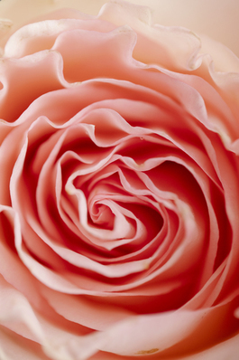 描写小女孩活泼开朗的句子文案 怎样描写一个活泼女孩