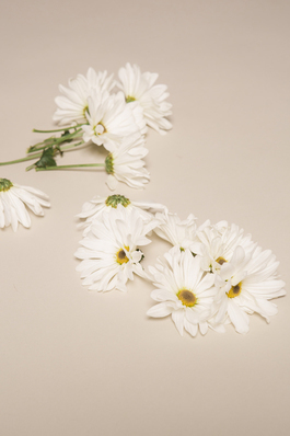 发圈英文爱情伤感的句子文案 求英语伤感爱情句子文案