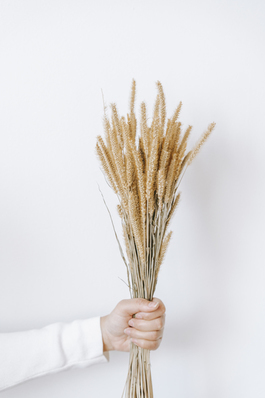 特别喜欢一个女人的句子文案 喜欢一个女人的句子文案