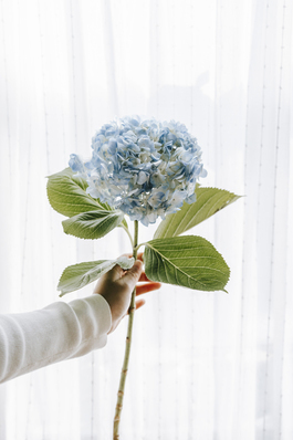 情侣个性签名8个字 情侣个性签名