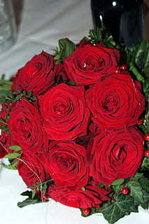 描写男主和女主接吻的句子文案 描写男主吻女主的句子文案