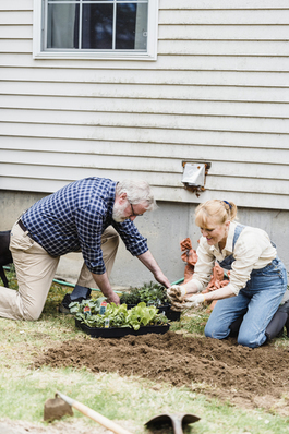 爱情比不过亲情的句子文案