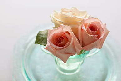 怎么向女生表白的句子文案 向女生表白的句子文案