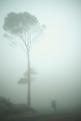 qq上把男朋友撩硬的话