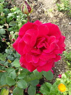 给爱人早安暖心话短句 情侣早安情话文案最暖心短句