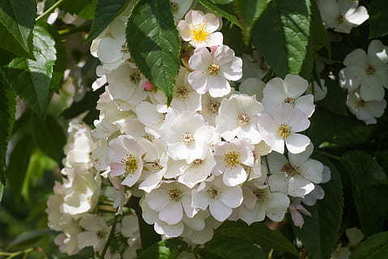 形容婴儿可爱的句子文案幽默 夸宝宝可爱的句子文案幽默