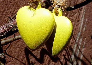 对心爱的人暖心的话简短 对心爱的人暖心的话