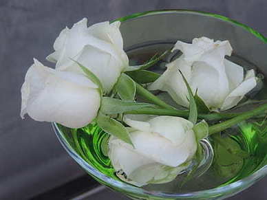 表达生活简单幸福的句子文案 表达简单的幸福的句子文案