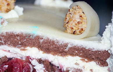 情感经典名句文案摘抄 经典情感诗句大全