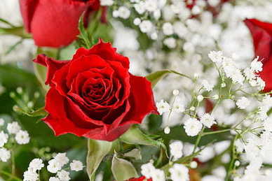 婚外情的经典语录文案 涂磊对婚外恋金典语录文案