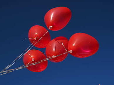 女人修心养性的句子文案 女人修心养性的句子文案