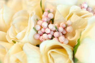 写给异地女朋友的情书最真实 写给异地女友的情书