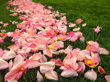 暖心的精简祝福语 祝福语暖心简短