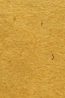 有关兄弟姐妹感情的句子文案