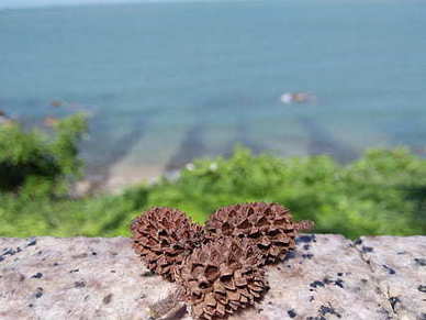 温柔微丧的句子文案 丧又温柔的短句怎么写？