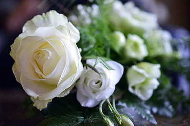 我喜欢你超有文采的句子文案 求很浪漫，很有文采的表白文章〔情书〕