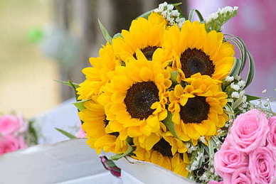 希望女朋友每天开心快乐的句子文案 让女朋友感到幸福开心的话