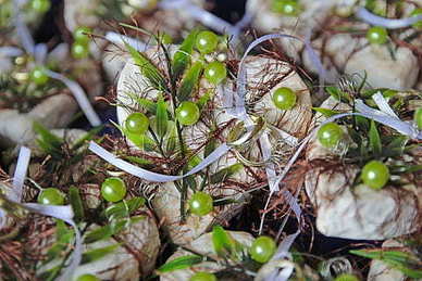 很撩很污的情话文案 有什么撩人的情话文案 想撩男朋友 不要污