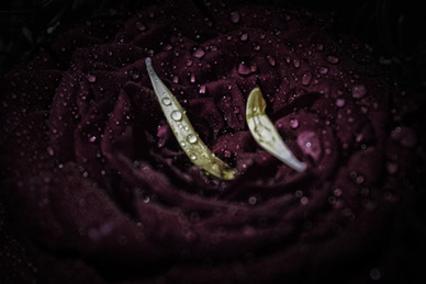 挽回一段感情的句子文案 挽回爱情伤感句子文案