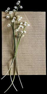 祝老公三十而立的说说文案 祝老公三十而立的生日祝福语