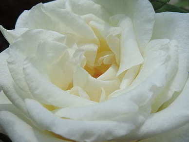 人生最大的幸福句子文案