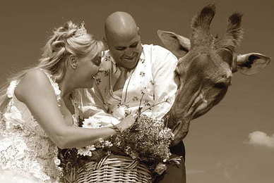 致闺蜜短句暖心 写给闺蜜的句子文案暖心简短