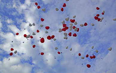 心痛心凉的经典语录文案 描写心冷的经典语录文案