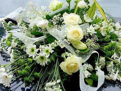 有人心疼有人宠的句子文案