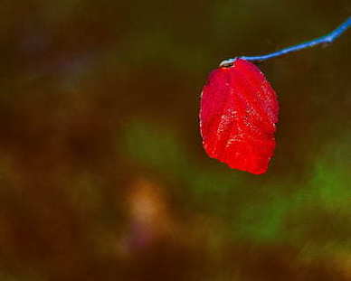 不发朋友圈的女生性格