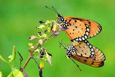 形容渣女的句子文案经典 怎么形容一个渣女?