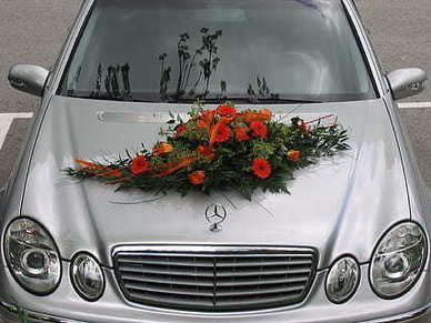 感伤句子文案英文爱情 求 最经典伤感的英语爱情句子文案