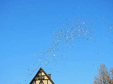 女人一定学会安静独处的句子文案 一个人安静独处经典句子文案有哪些？