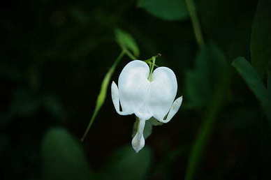 最新网红爱情句子文案 网络爱情句子文案最经典