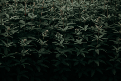 离婚励志名言警句 婚姻名句文案经典励志