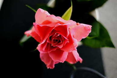 给闺蜜留言的甜甜句子文案 甜到炸的句子文案给闺蜜