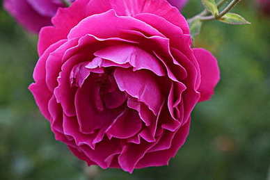 2023最新发女朋友的早安情话文案 2023年给女朋友情话文案