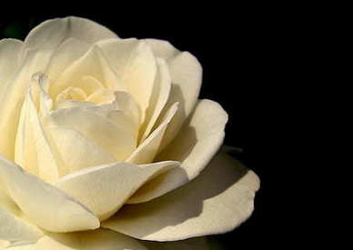 正能量情感励志短句 励志篇正能量美文短句