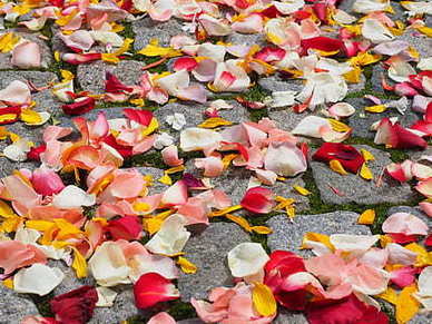 八字诗句情话文案 古代八字情话文案名言