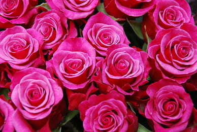 想自己心爱的人的句子文案 希望永远可以和自己心爱的人一起过的句子文案