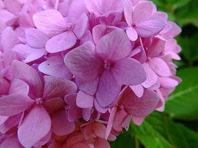 形容对男人失望透顶的句子文案 形容对一个人失望透顶的句子文案???