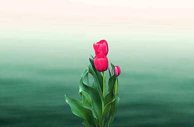 甜甜的撩人的句子文案 有什么比较撩人的情话？